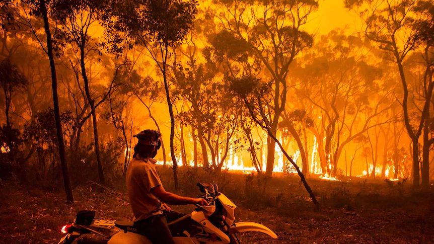 The Black Summer bushfires burned across more than 24 million hectares and had a drastic impact on the Earth's atmosphere (Supplied - Jochen Spencer)